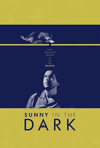 Sunny in the Dark海报