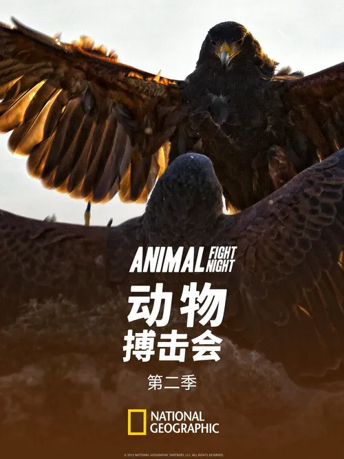 动物搏击会 第 2 季海报