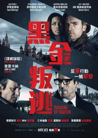 我们这种叛徒海报