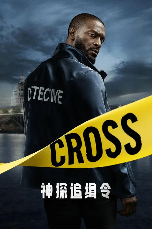 神探追缉令 第 1 季海报