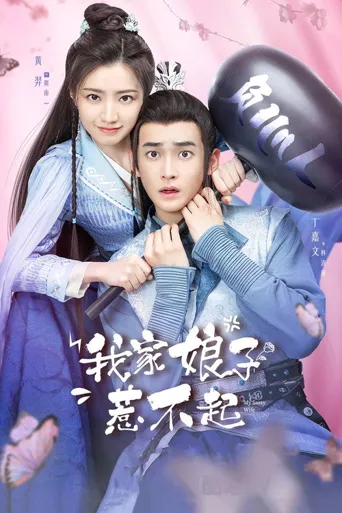 我家娘子惹不起海报