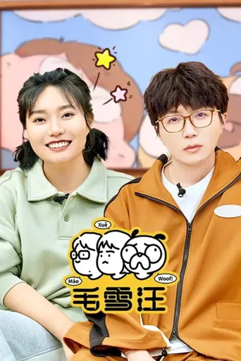 毛雪汪 第 1 季海报