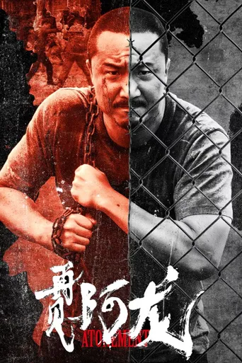 阿龙海报