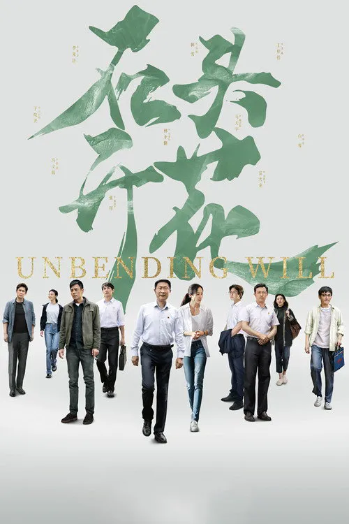 石头开花海报