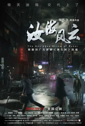汝海风云海报