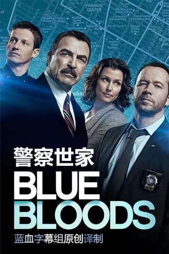 警察世家 第 8 季海报