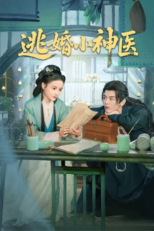逃婚小神医海报