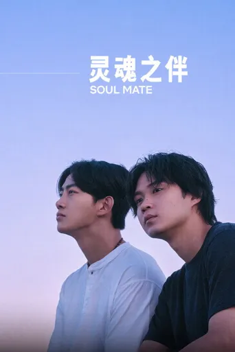 灵魂之伴海报