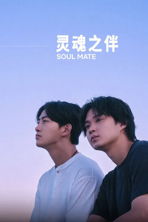 灵魂之伴海报