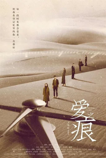 爱·之痕海报