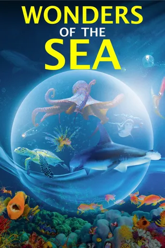 奇妙的海洋海报