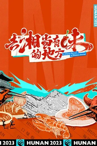 去“湘”当有味的地方海报