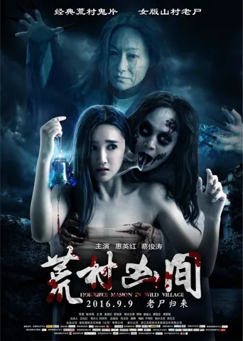 荒村怨灵海报