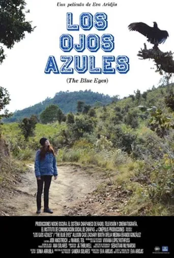 The Blue Eyes海报