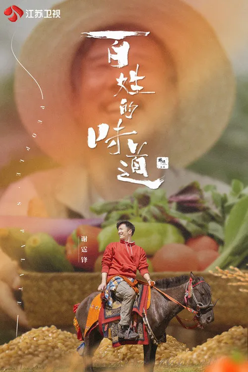 百姓的味道海报
