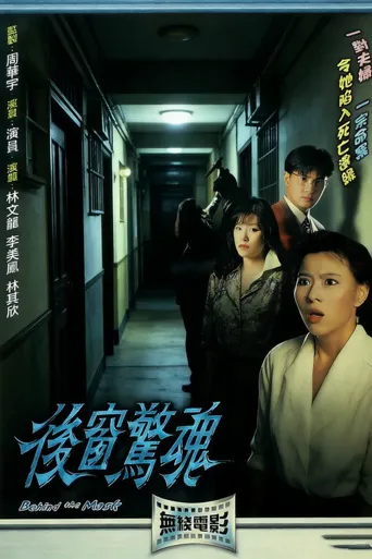 后窗惊魂海报