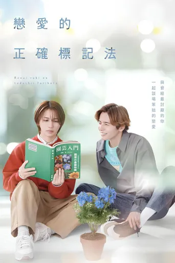 恋爱的正确标记法海报