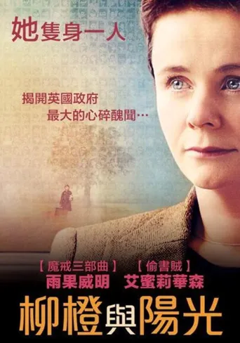 橙子与阳光海报