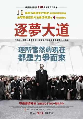 塞尔玛海报