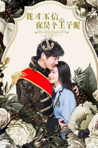 我才不信你是个王子呢海报