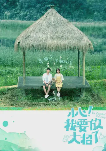 小心！我要放大招了海报