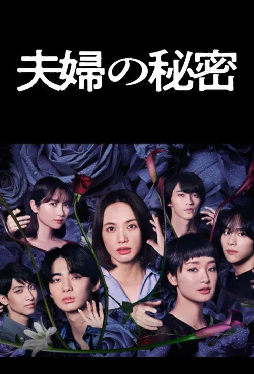夫妇的秘密海报