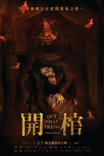 开棺海报