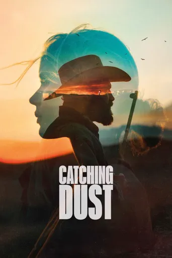 Catching Dust海报
