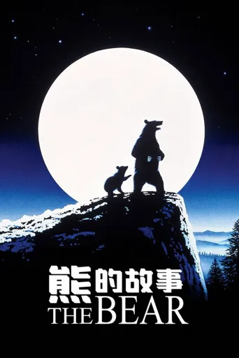 熊的故事海报