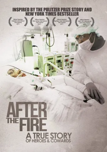After the Fire海报