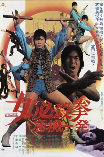 女必杀拳：危机一发海报