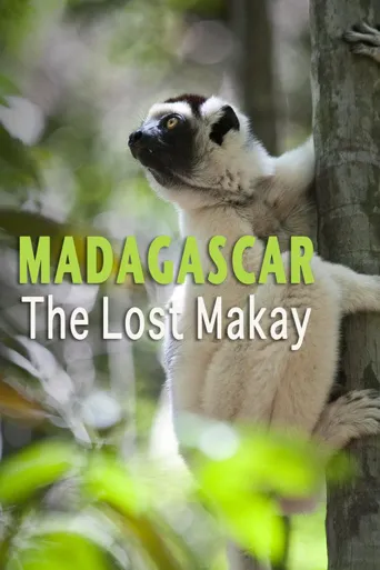 Madagascar: The Lost Makay海报