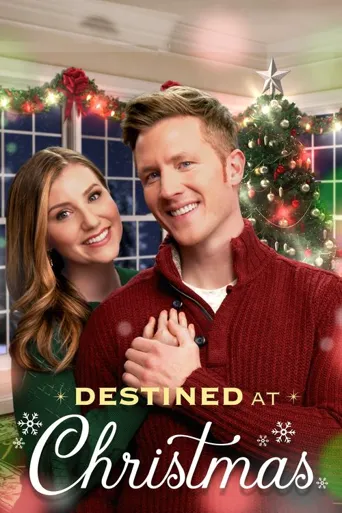 Destined at Christmas海报