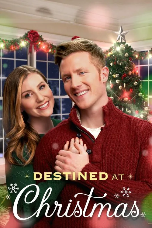 Destined at Christmas海报