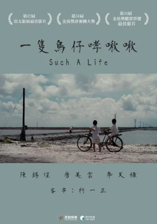 一只鸟仔哮啾啾海报