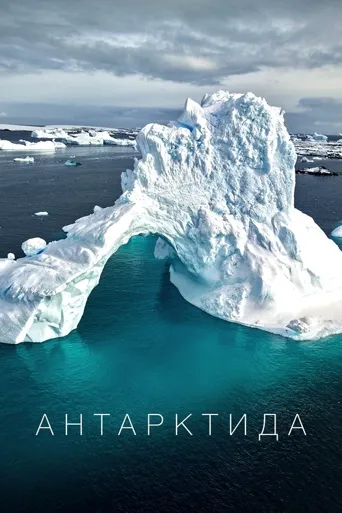 Антарктида海报