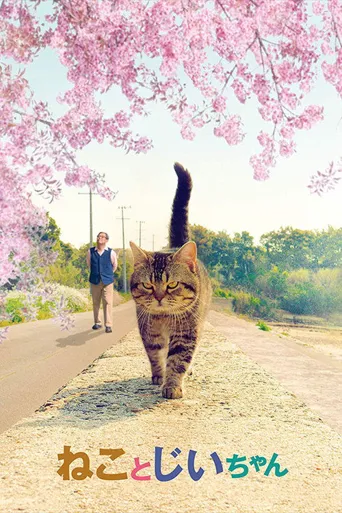 猫与爷爷海报
