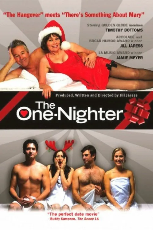 The One Nighter海报