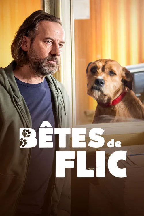 Bêtes de Flic海报