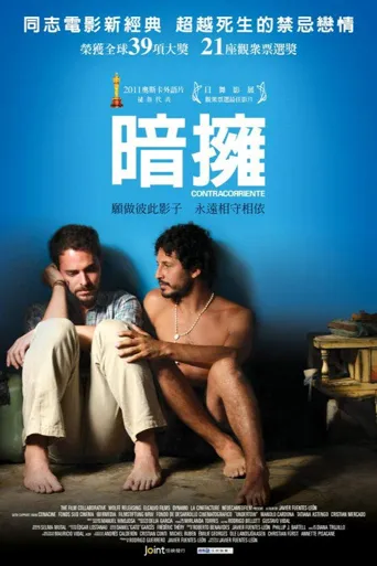 心底的逆流海报