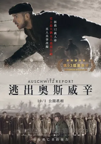 奥斯维辛报告海报