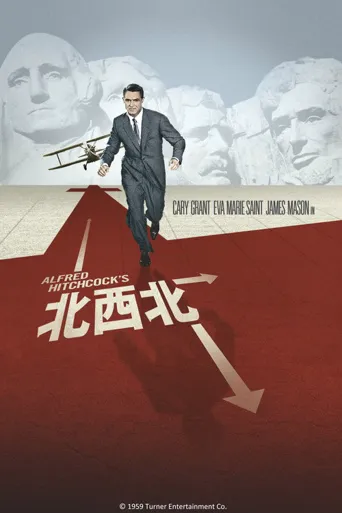 西北偏北海报