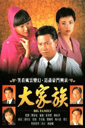 大家族海报