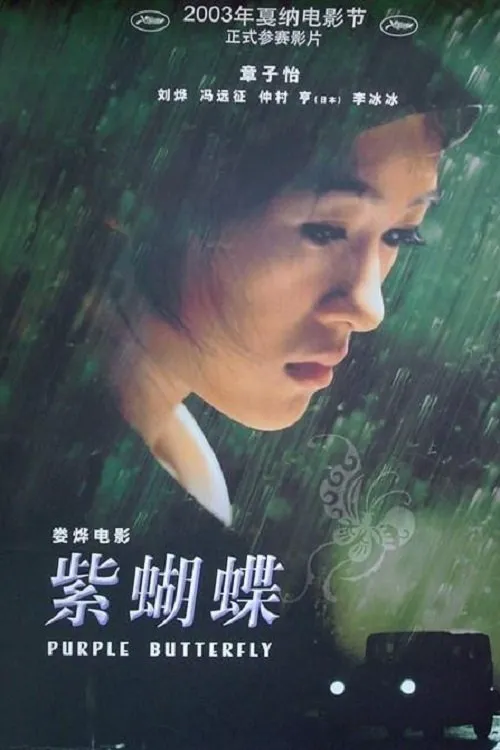 紫蝴蝶海报