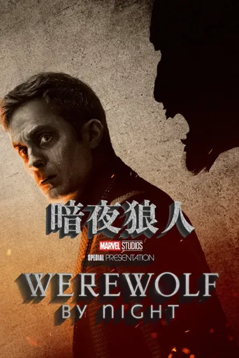 暗夜狼人海报