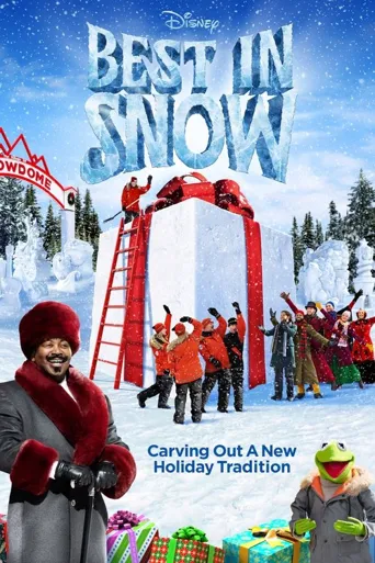 最好的雪海报