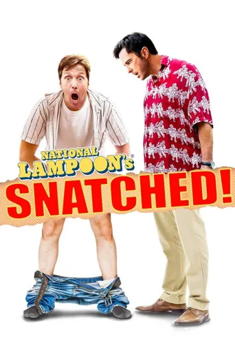 Snatched海报