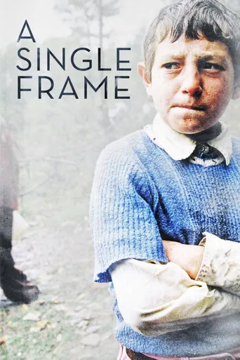 A Single Frame海报