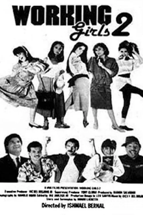 Working Girls 2海报