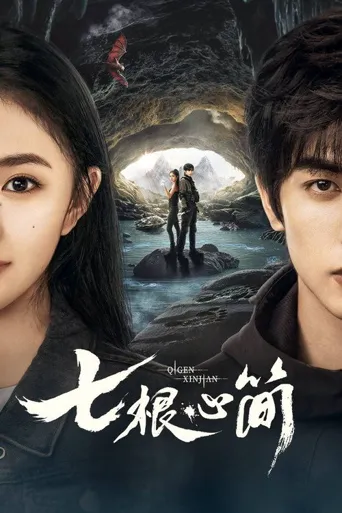 七根心简海报